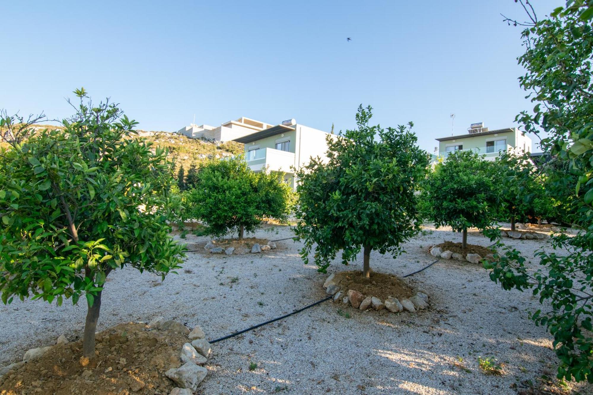 Κatakis Villas Agios Onoufrios Luaran gambar