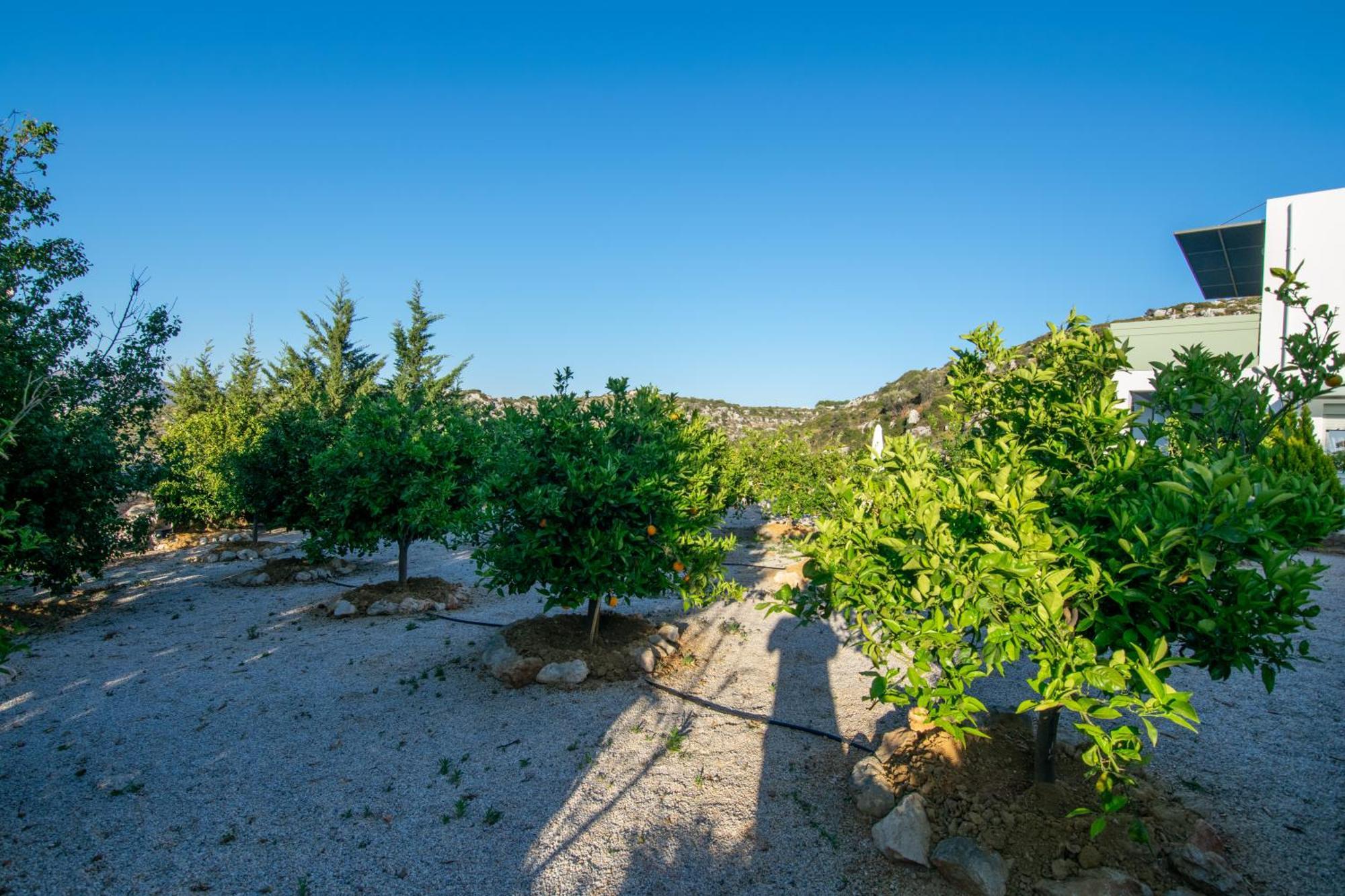 Κatakis Villas Agios Onoufrios Luaran gambar