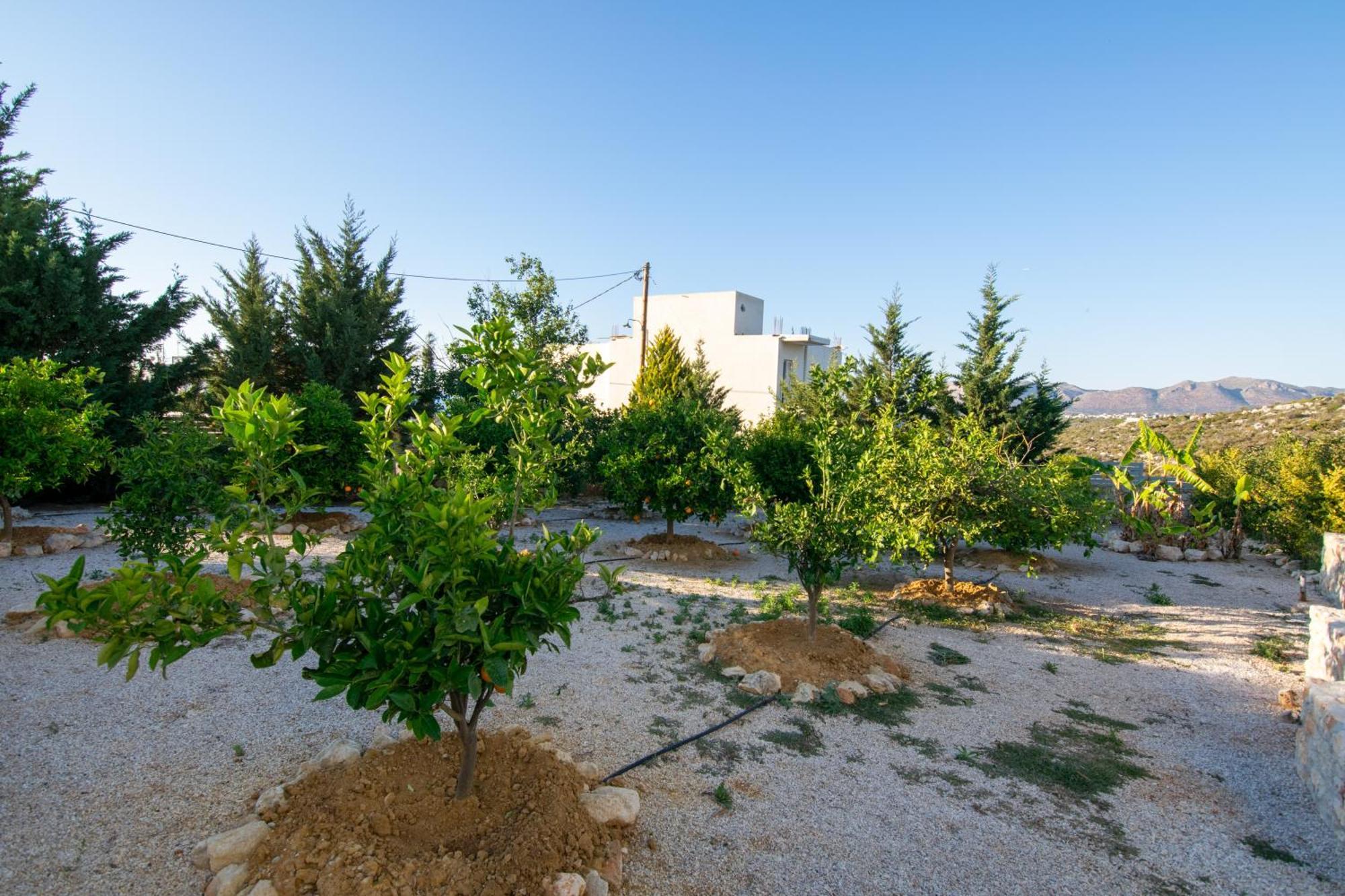 Κatakis Villas Agios Onoufrios Luaran gambar