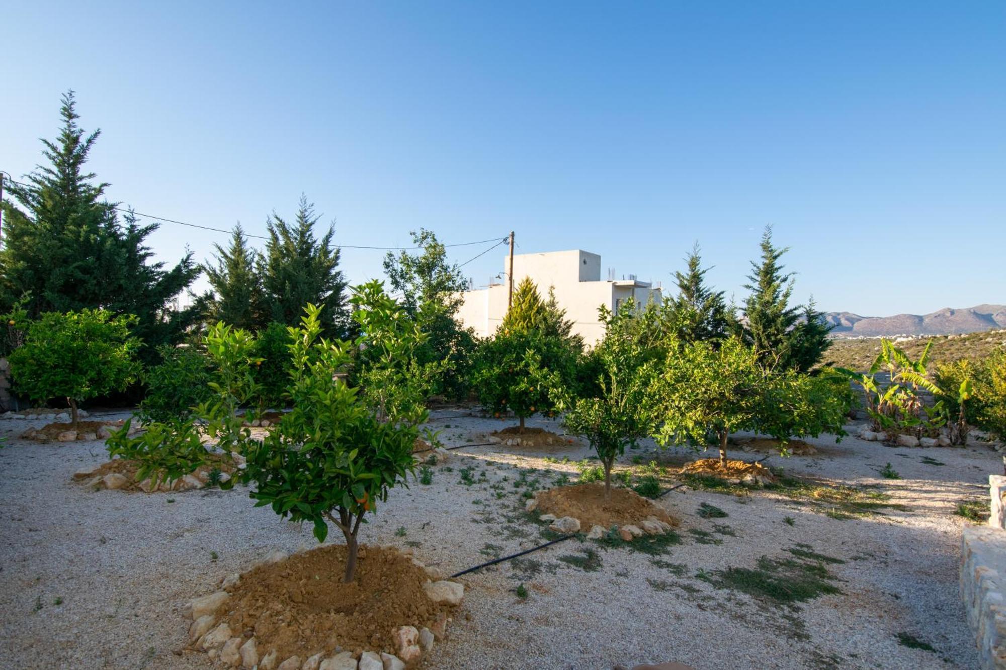 Κatakis Villas Agios Onoufrios Luaran gambar